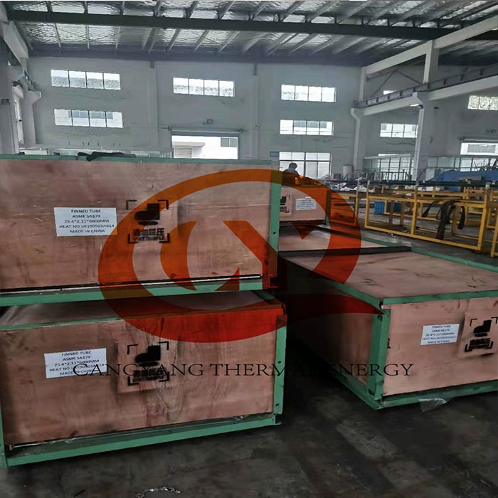 Embedded G Fin Strip